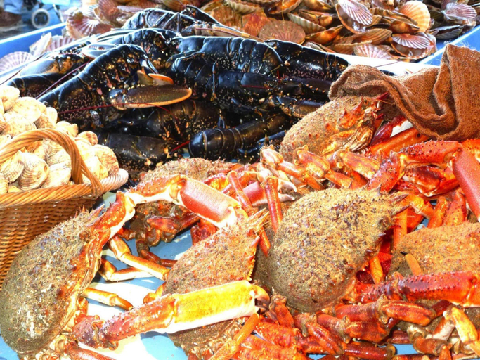 Food & Drinks 4, Holiday Home in Plozévet near Beaches, Finistère