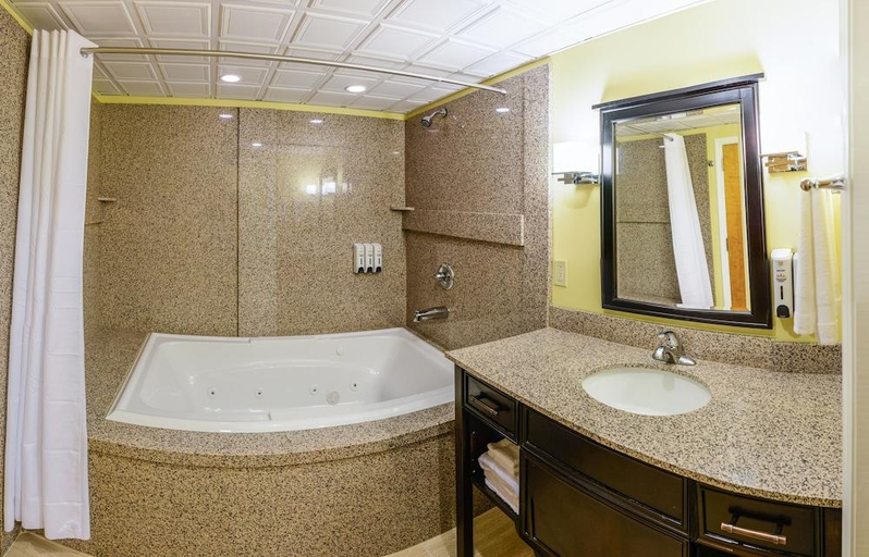 Bathroom 4, Asbury Inn & Suites, Jessamine
