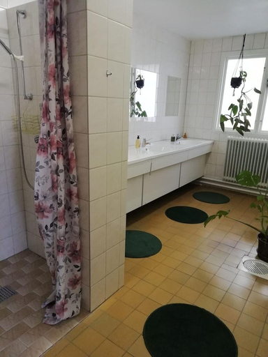 Bathroom 5, Moshults Vandrarhem, Emmaboda