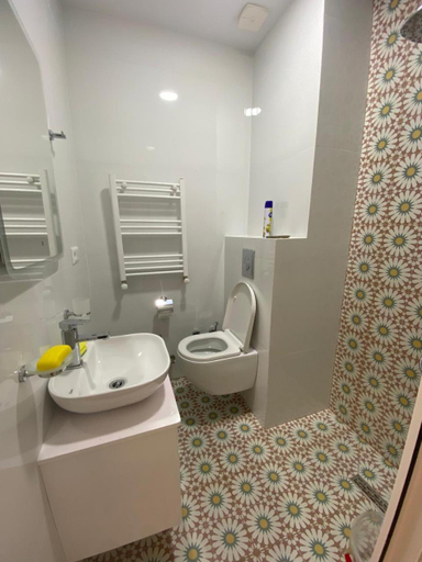 Bathroom 2, Arleville apartments, Batumi