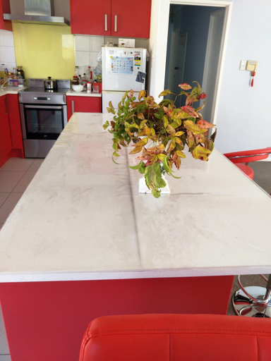 Food & Drinks, Wendy's Holiday Home, Waitakere