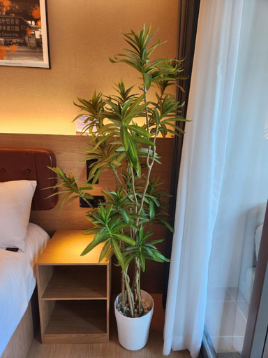 Others 4, Elbon the stay A1, Haeundae