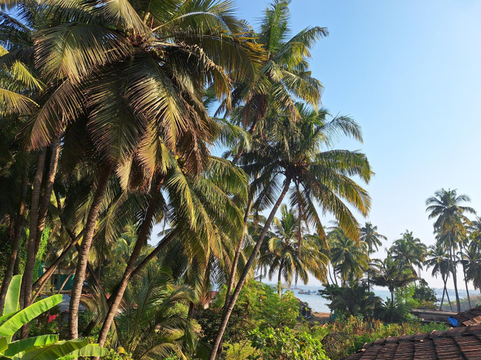 Others 4, Anand Nivas Homestay, Sindhudurg
