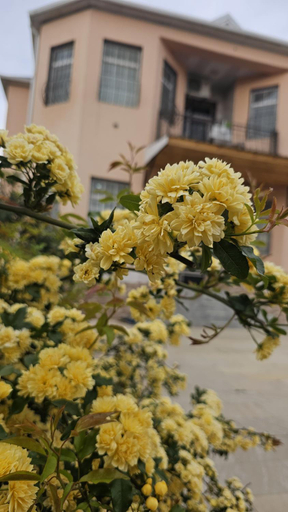 4, Guest House Savalan, Baku