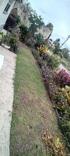 Others 4, Chandler Homestay