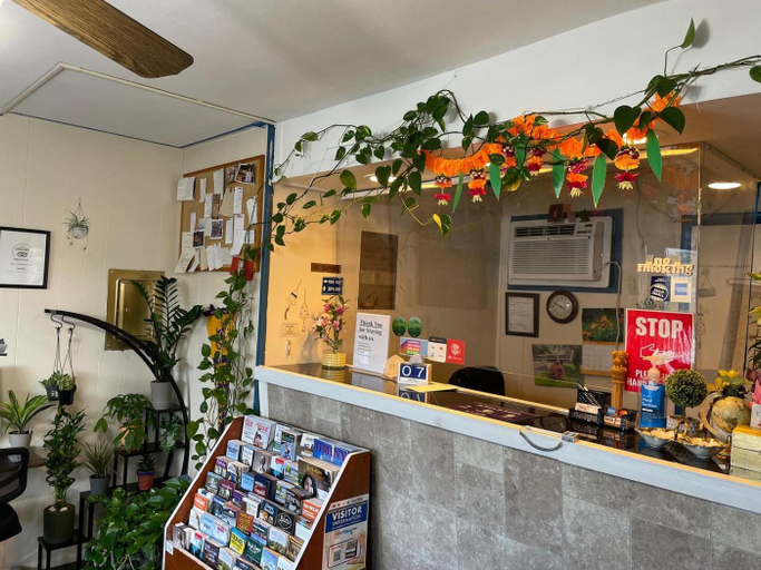 Public Area, Cozy Corner Motel, Berkshire