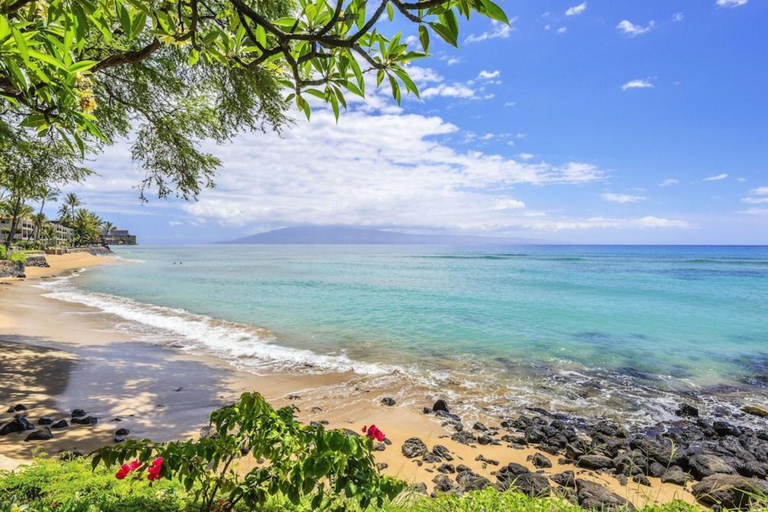 Others 5, Kuleana 208 - 1Br Condo, Maui