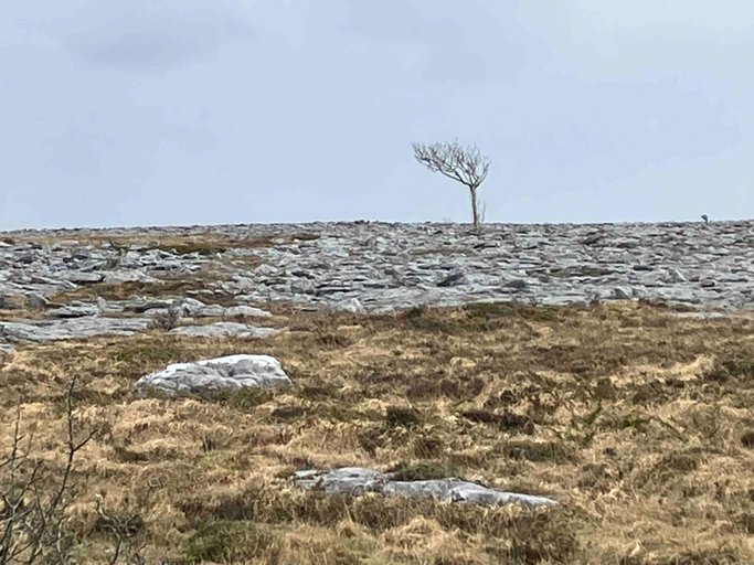 Surrounding environment
