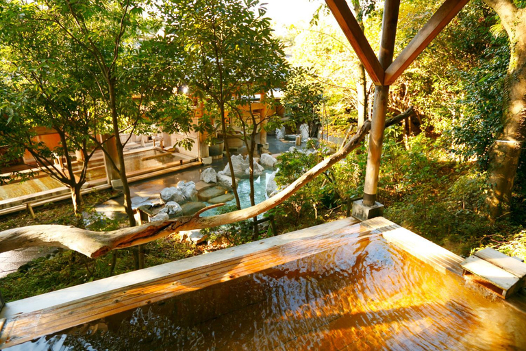 Sport & Beauty 5, Morinoyu Kiranosato -Kyoritsu Resort, Itō