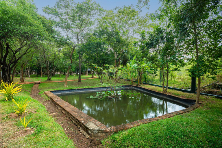 Sport & Beauty 2, Kassapa Lions Rock, Dambulla