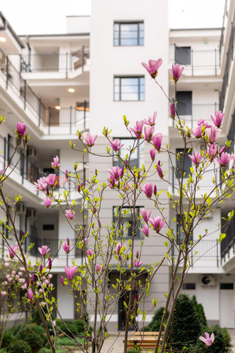 Others 4, Magnolia GreenTop Apartment, Budapesti