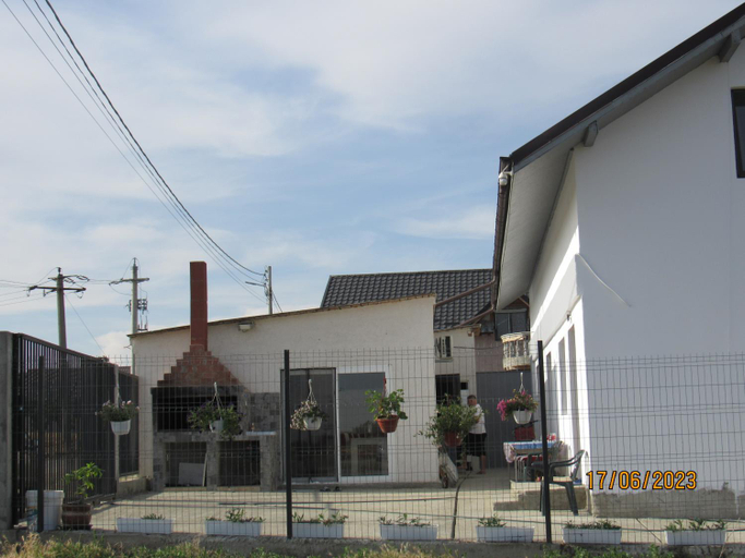 Others 5, Da-i pace mai, Corbu