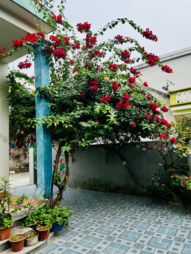Exterior & Views, Immersive Homestay Ninh Binh, Gia Viễn