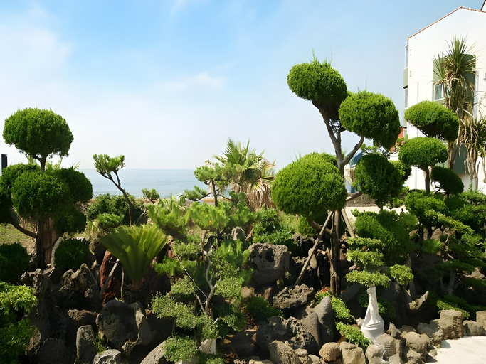 Others 5, The Beach Pension, Jeju