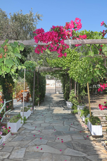 3, Pansion Prodromina, Thessaly