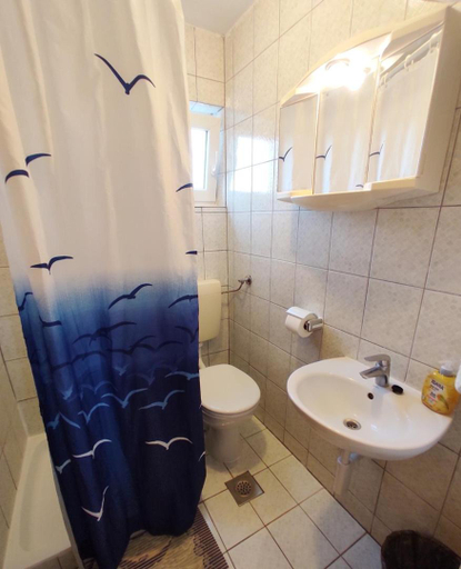 Bathroom 2, Apartments Danica, Lopar/Supetarska Draga
