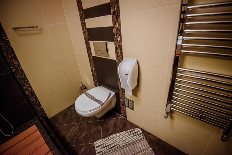 Bathroom, Soare-n Maramures, Budesti