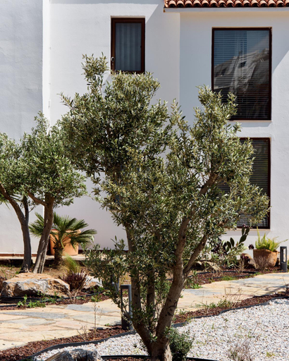 Others 2, Casa Caria Suites, Bodrum
