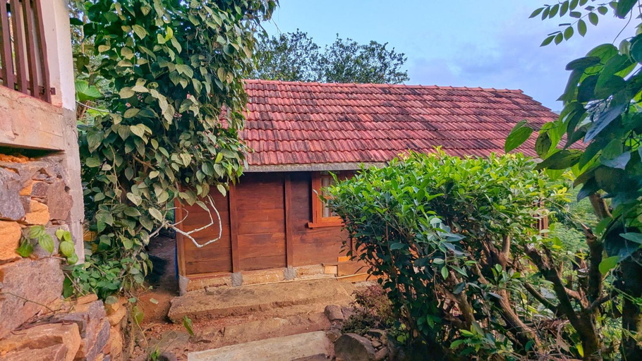 Exterior view 2, Sinharaja Forest Lodge - Deniyaya, Kotapola