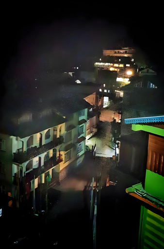 Others 2, Hotel Tso Lhamo, North Sikkim