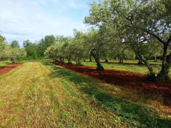 Others 5, Villa in Motovun with Private Pool and Views, Karojba