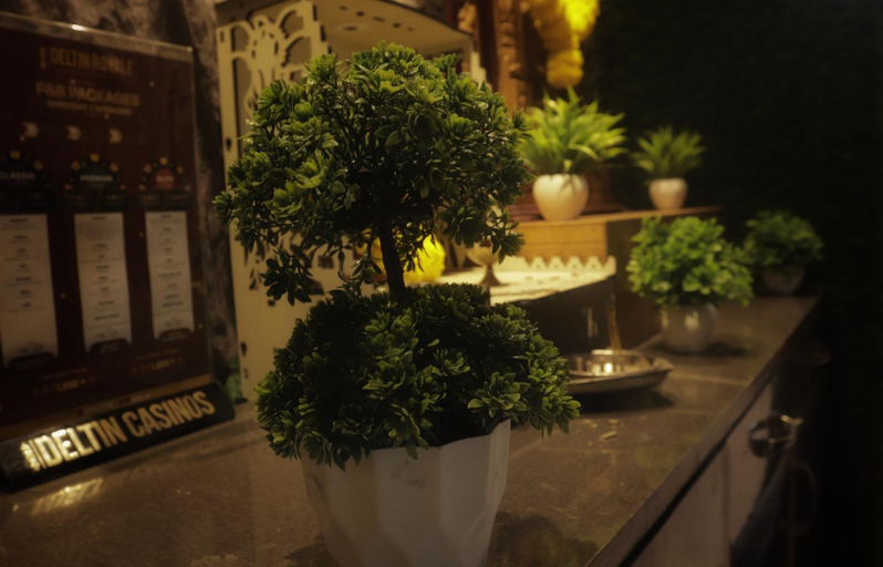 Others 5, HOTEL DADO`S INN, North Goa