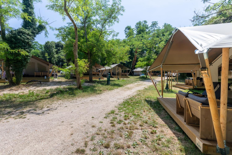 Others 5, Istra Sunny Tent in Lanterna Premium Camping Resort 4*, Poreč