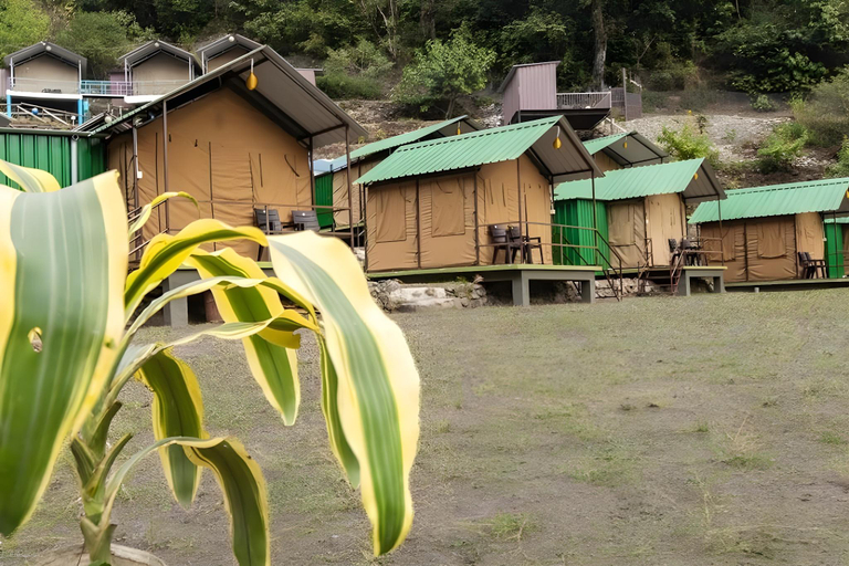 Others 2, Camp Bagheera, Tehri Garhwal