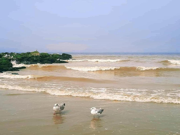 Others 5, Relaxing Coastal Escape, West-Vlaanderen