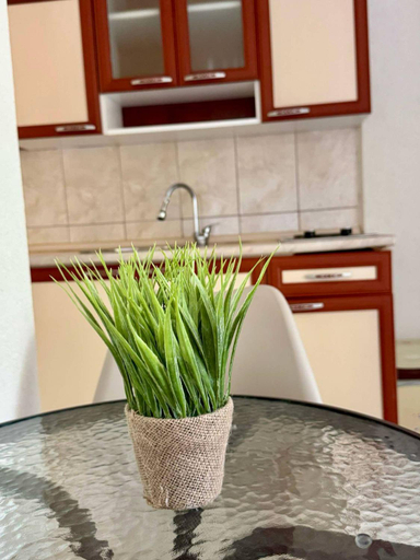 Food and beverages, Apartmani Slavica