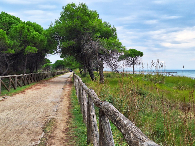 Others 4, Lovely flat near Pluto Beach - Beahost, Venezia