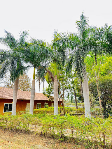 Exterior & Views, Nikhara Garden And Resorts, Mandya