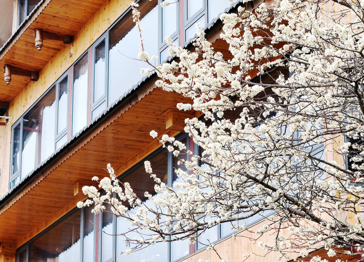 Exterior & Views 2, LongJi One Art Hotel, Guilin