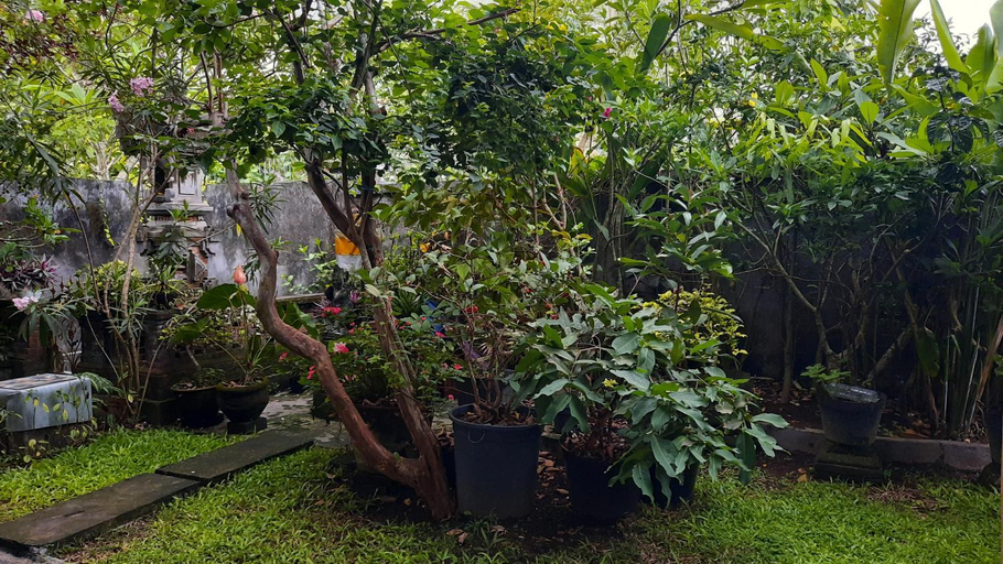 Others 5, Evan House Homestay with Kitchens and Private Balconies, Gianyar