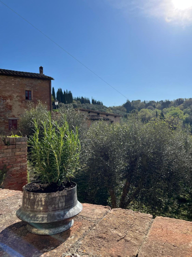 Others 5, Truffle N Bed, Siena
