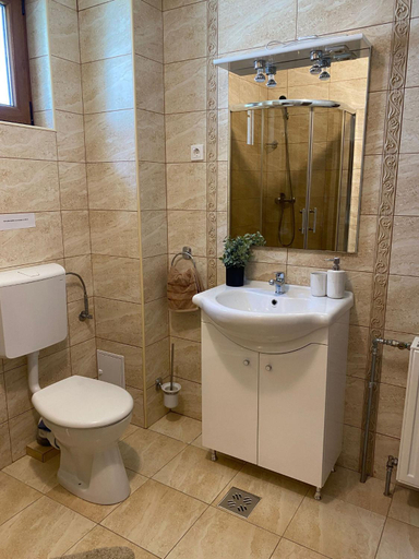 Bathroom 5, Gyopar Panzio & Kulcsohaz, Voslabeni