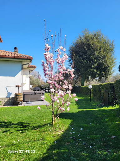 2, Fuori dal Borgo...., Viterbo