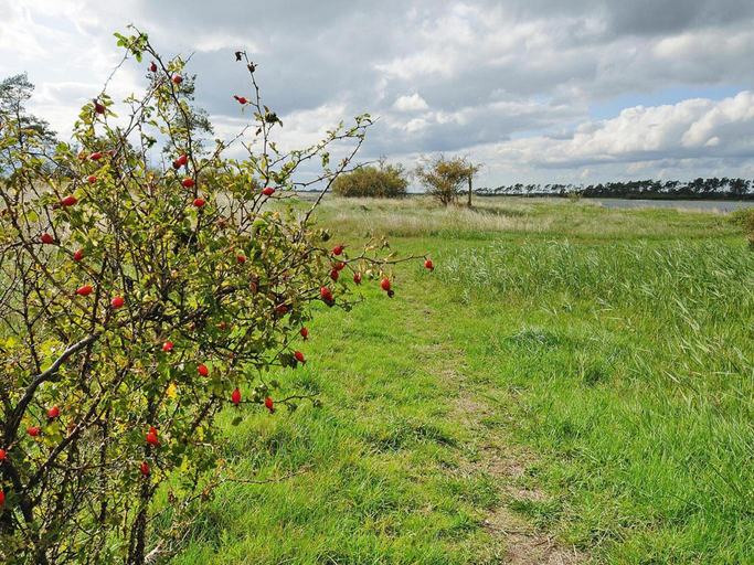Others 5, Gutshaus Zicker in Garz, Vorpommern-Rügen