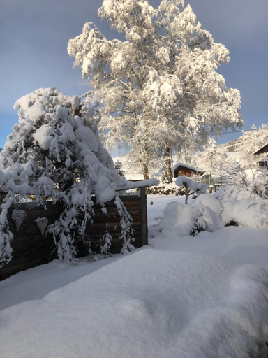 Others 3, Mooswirt, Murau