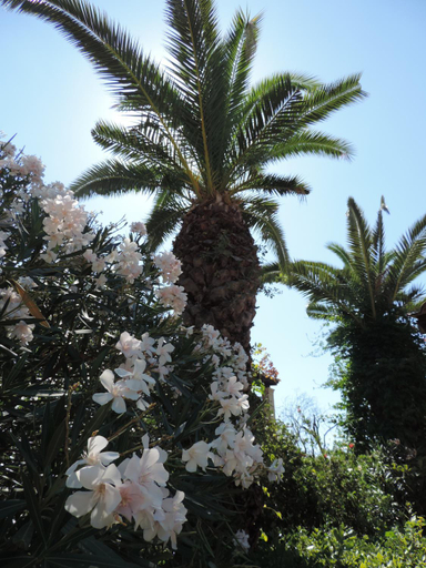 Others 2, Alexandra Spingou Apartments, Ionian Islands