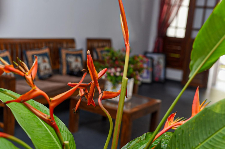 Food & Drinks 4, 4ty two Homestay Galle, Galle Four Gravets