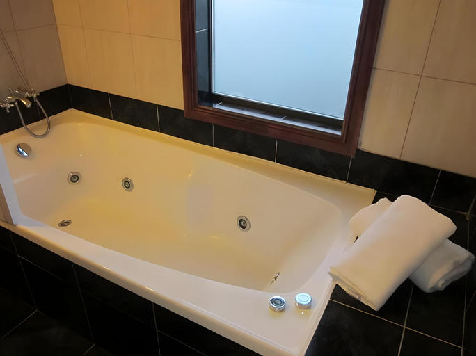 Bathroom 3, Hotel Encanto del Rio, Valdivia