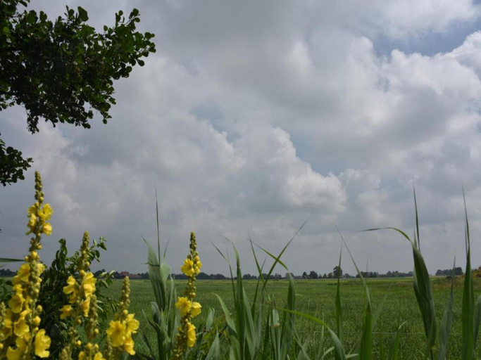Others 5, Docklodge at Frisian Lakes with Private Mooring, Lemsterland