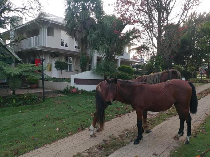 Others 3, Silver Mist Guest House and Country Inn, Ehlanzeni