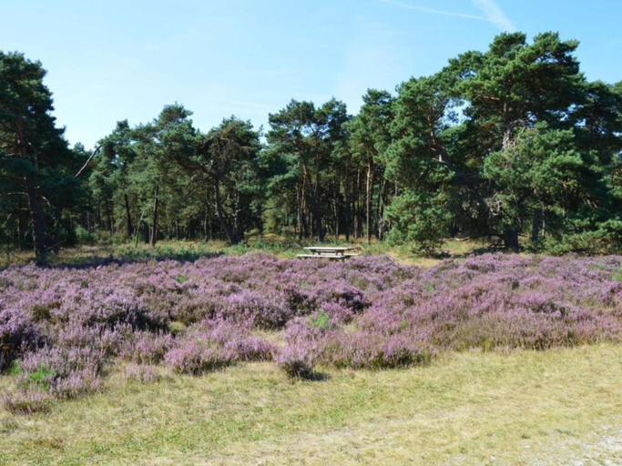 Others 5, Cottage in Veluwe near Forest Park, Barneveld