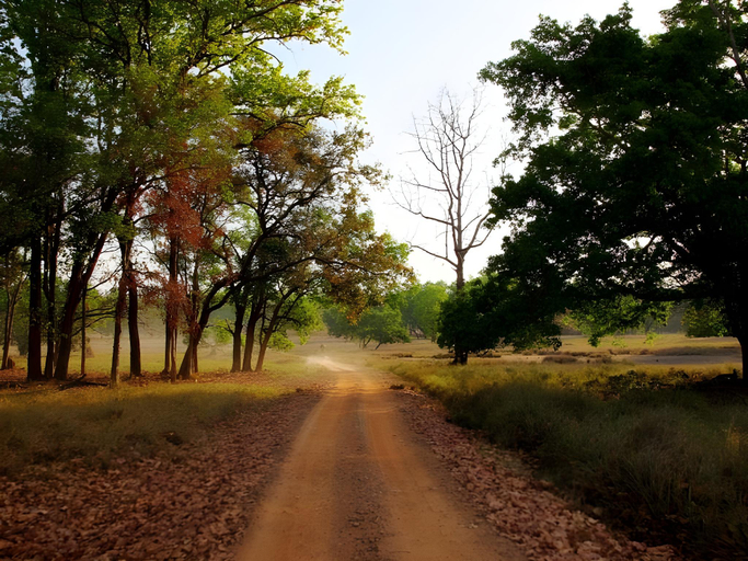 Others 5, Tuli Tiger Resort, Balaghat