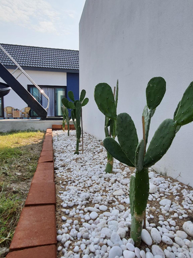 Garden 5, Morning Glory Pool Villa ทั้งหลัง พักสูงสุด 14ท่าน, Cha-Am