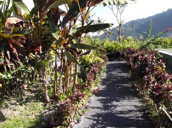 Others 5, The Bukit Artha Guesthouse, Karangasem
