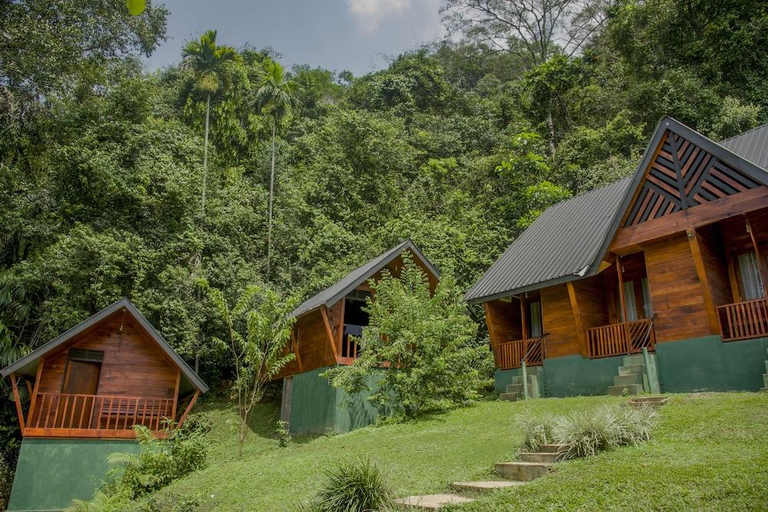Exterior & Views 2, Sinharaja Forest Edge, Kotapola