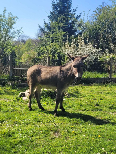 Others 3, Chateau de la Rucquetiere, Manche